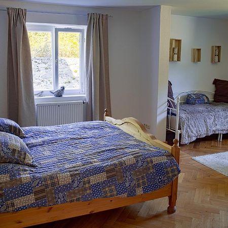 Das Alte Forsthaus Spiegelhuette Lindberg Esterno foto