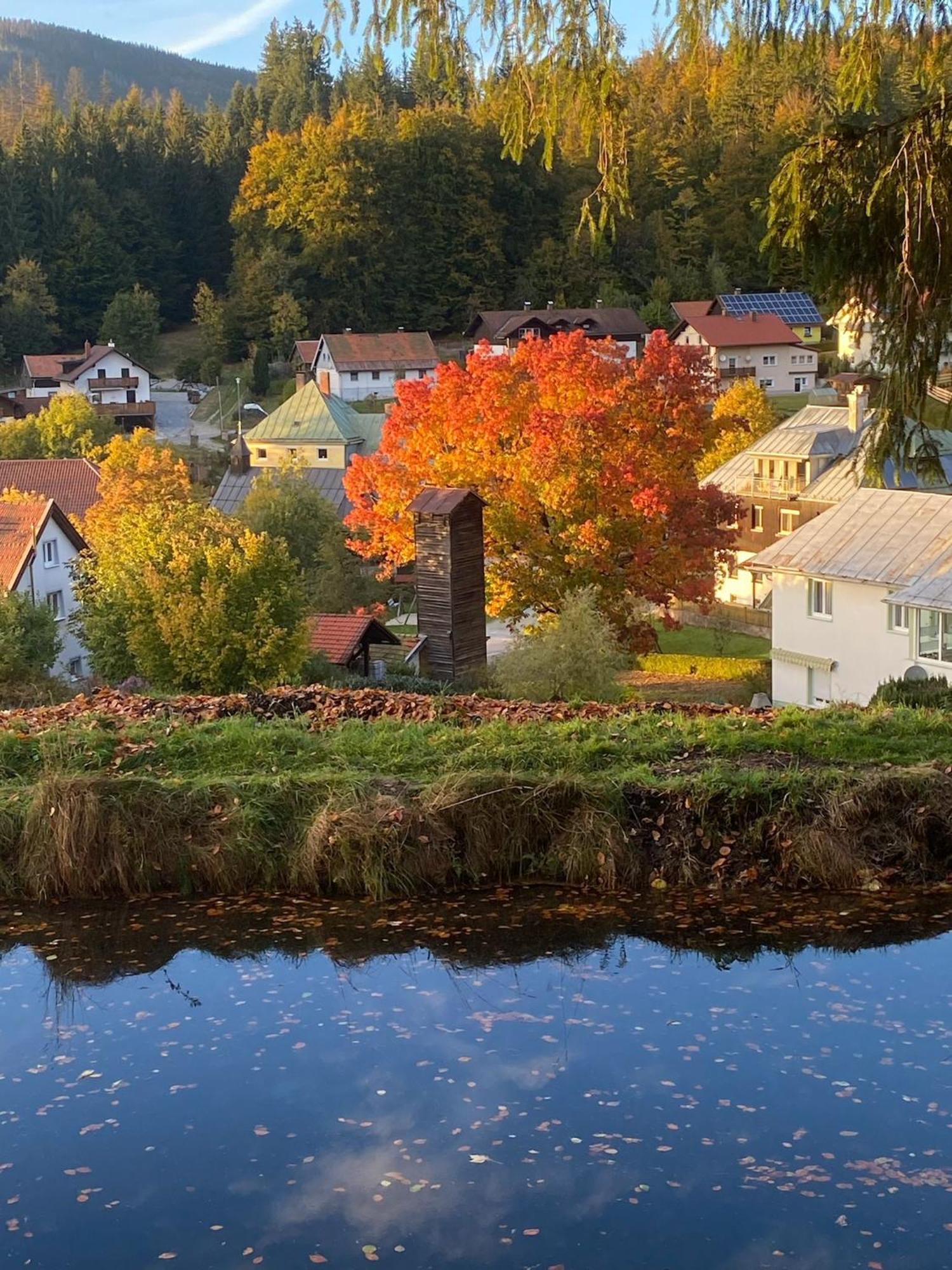 Das Alte Forsthaus Spiegelhuette Lindberg Esterno foto