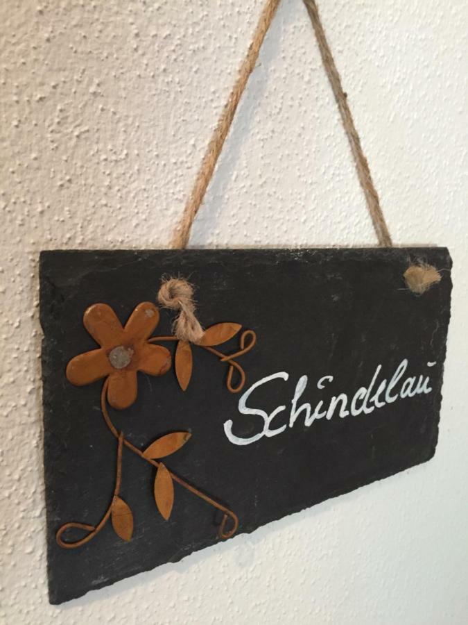 Das Alte Forsthaus Spiegelhuette Lindberg Esterno foto