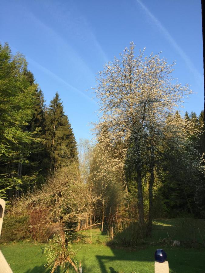 Das Alte Forsthaus Spiegelhuette Lindberg Esterno foto